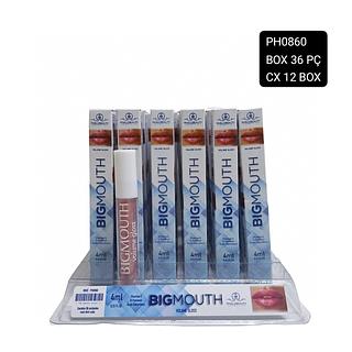 phalle beauty volume gloss BOX36PÇ