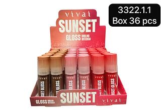 vivai lip gloss box 36 pc