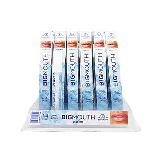 Phallebeauty Gloss Labial BigMouth incolor box/36pç